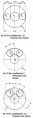 Thumbnail for version as of 14:53, 10 July 2023
